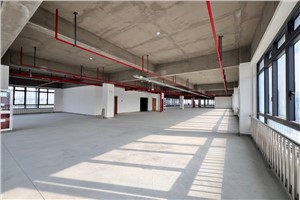 川沙厂房-川沙国际精工园