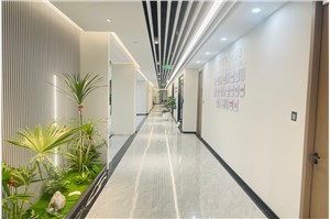张江微电子港