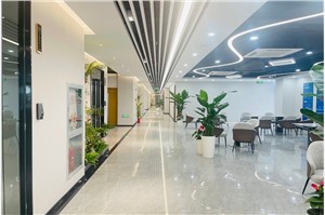 张江微电子港
