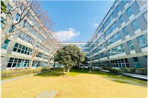 张江微电子港