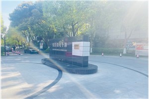 张江微电子港