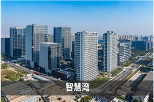 张江科学城数智天地・智慧湾