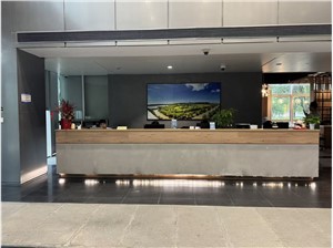 高行.数智未来湾前台