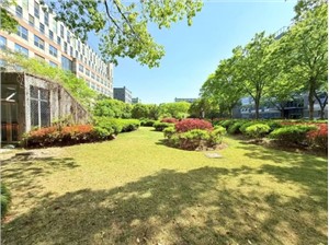 张江微电子港-P2（7号楼）