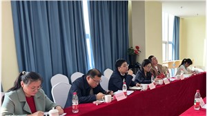 调研座谈会