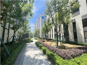 金地威新达闼人工智能创新产业基地1