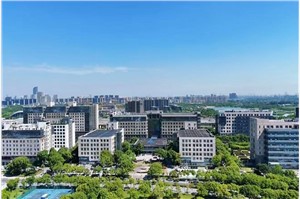 张江集电港