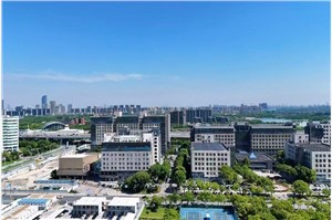 张江集电港