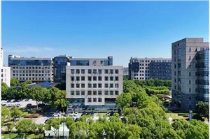 张江集电港