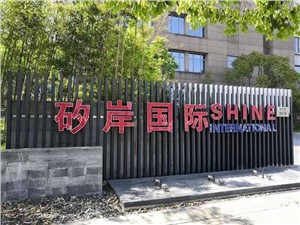 矽岸国际—张江产业园