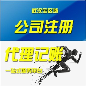 武汉东湖新技术开发区科技小微企业 —— 公司注册 + 年度记账报税综合服务